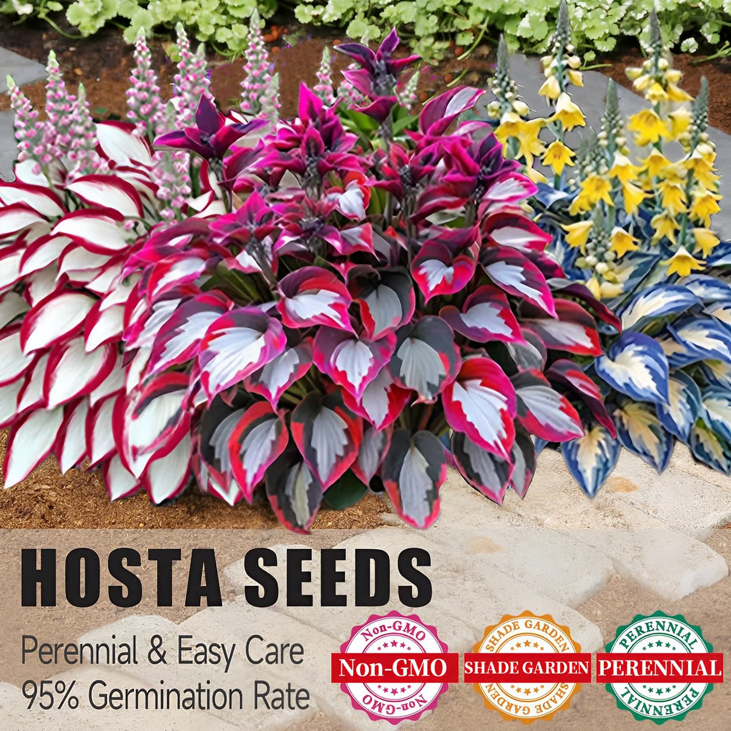 Nothing Grows in Shade? Watch This… 🌿 Turn Dead Corners Into a Lush Garden Paradise