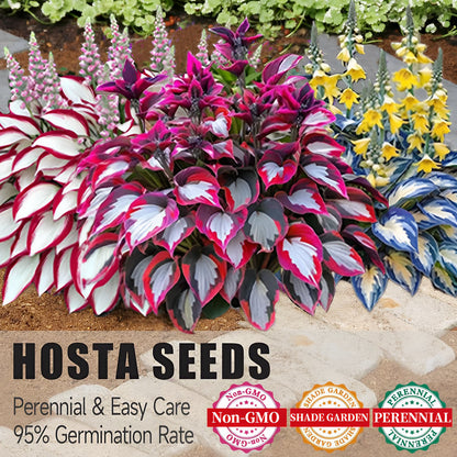 Nothing Grows in Shade? Watch This… 🌿 Turn Dead Corners Into a Lush Garden Paradise