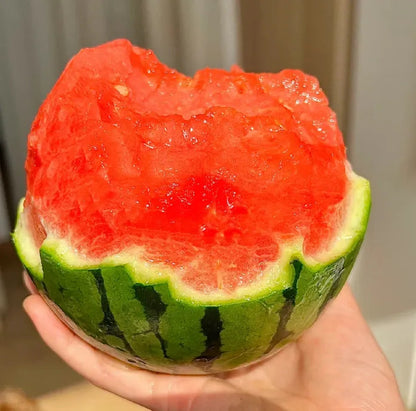 🍉😋Ruby Watermelon Seeds-Grow Your Own Sweety