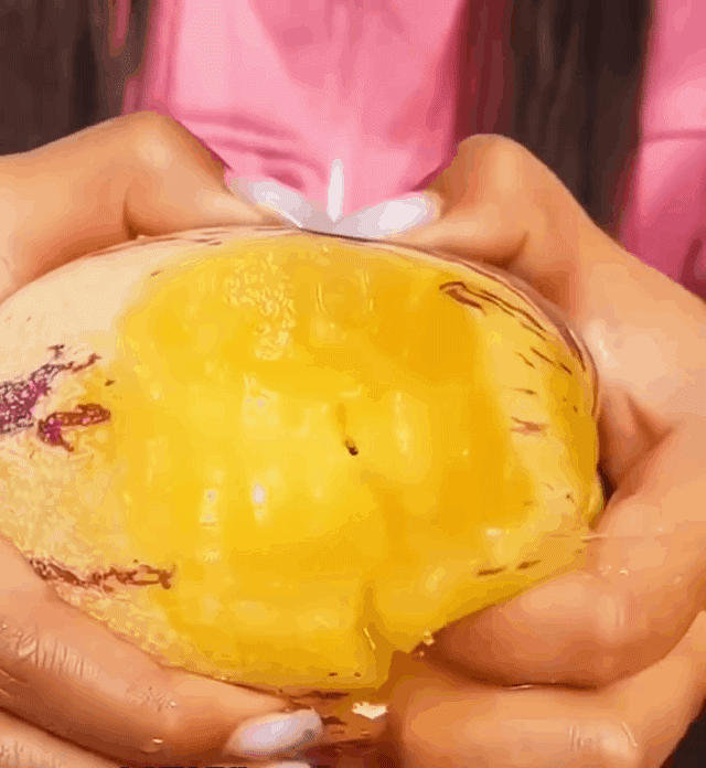 🍈 Grow Sweet, Juicy Melons Right at Home