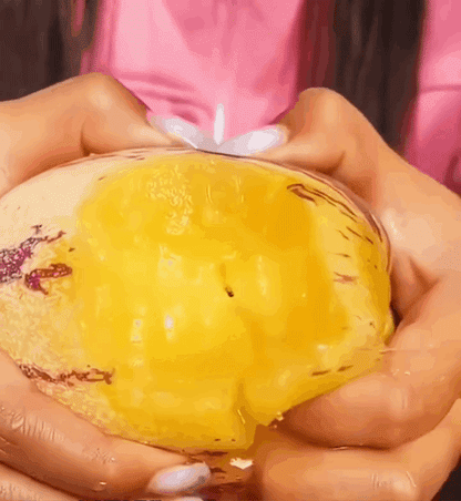 🍈 Grow Sweet, Juicy Melons Right at Home