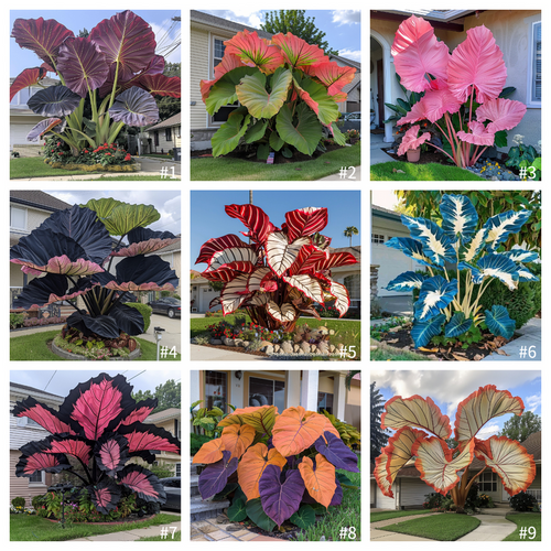 🌈 Turn Any Garden Into a Tropical Masterpiece