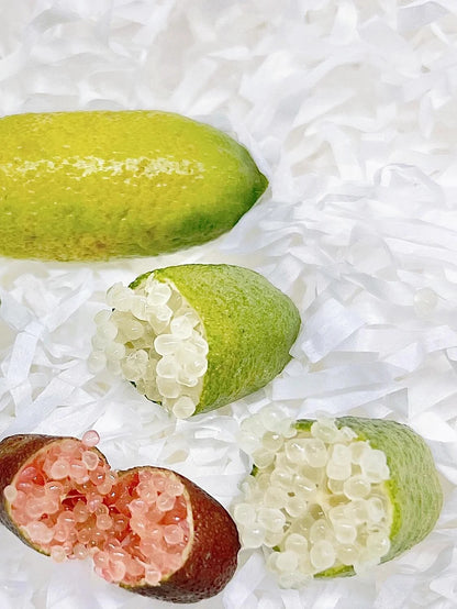 50% Discount-🍋Lemon Caviar! 🪴Lemon Seeds with Your fingers