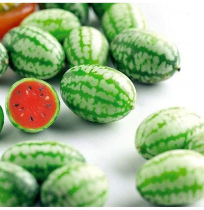 🍉🍉Super MINI! - Thumb Watermelon