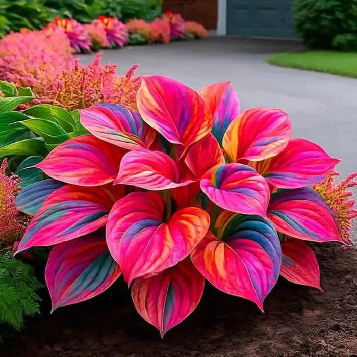 Nothing Grows in Shade? Watch This… 🌿 Turn Dead Corners Into a Lush Garden Paradise
