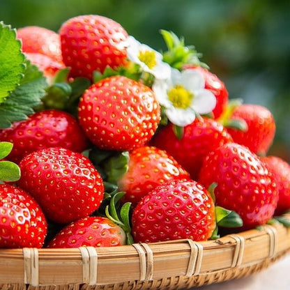 All-Year-Round Creamy Strawberry Seeds🍓