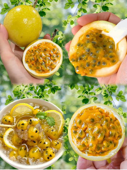 Fresh Passion Fruit Straight From Your Backyard 🍈✨