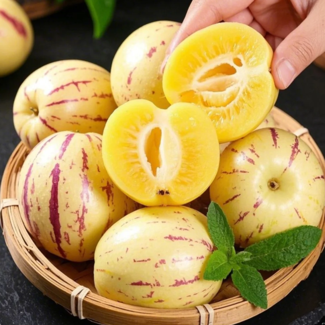 😋Plant Once, Harvest Sweet Pepino Fruits All Season