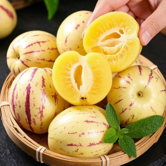 😋Plant Once, Harvest Sweet Pepino Fruits All Season