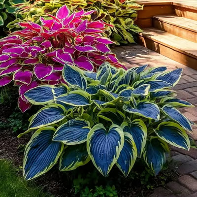 🌈 STOP Scrolling… Your Garden Is About to Get ADDICTIVELY Colorful 😍
