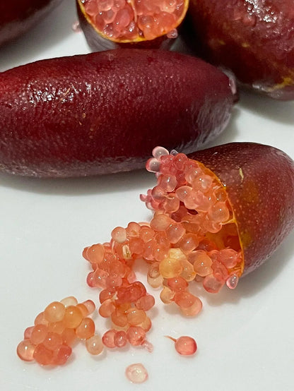 50% Discount-🍋Lemon Caviar! 🪴Lemon Seeds with Your fingers