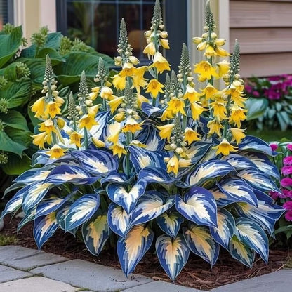 Nothing Grows in Shade? Watch This… 🌿 Turn Dead Corners Into a Lush Garden Paradise