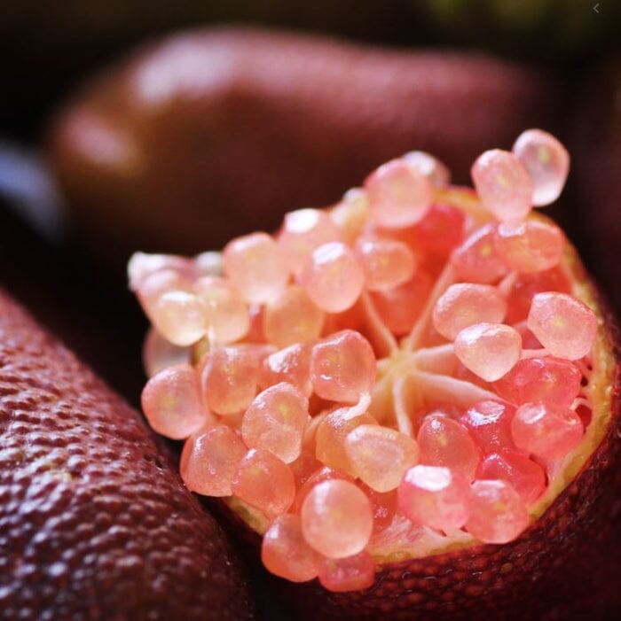 🍋✧˖°Finger Lime Seeds-Citrus Australasica