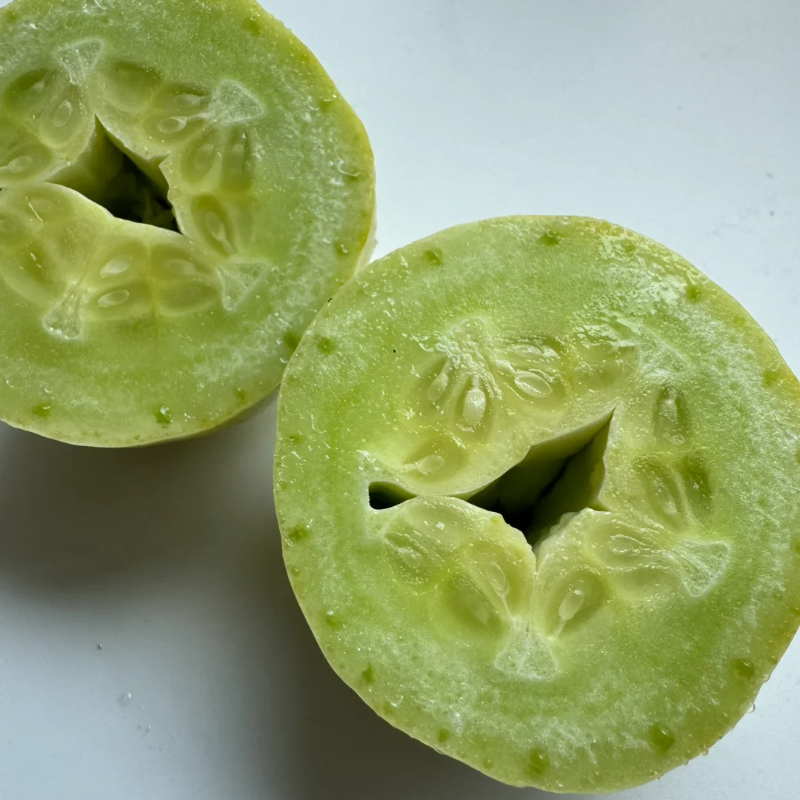 🥒Growable in all seasons - Jade Girl Cucumber