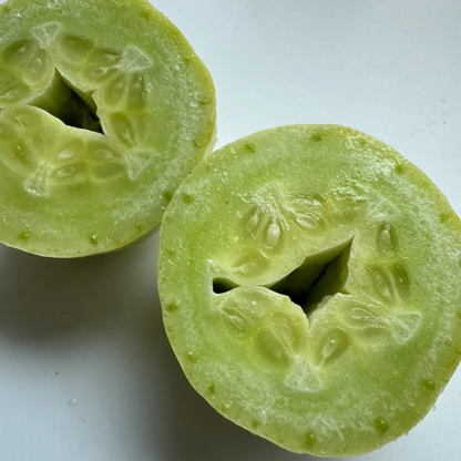 🥒Growable in all seasons - Jade Girl Cucumber