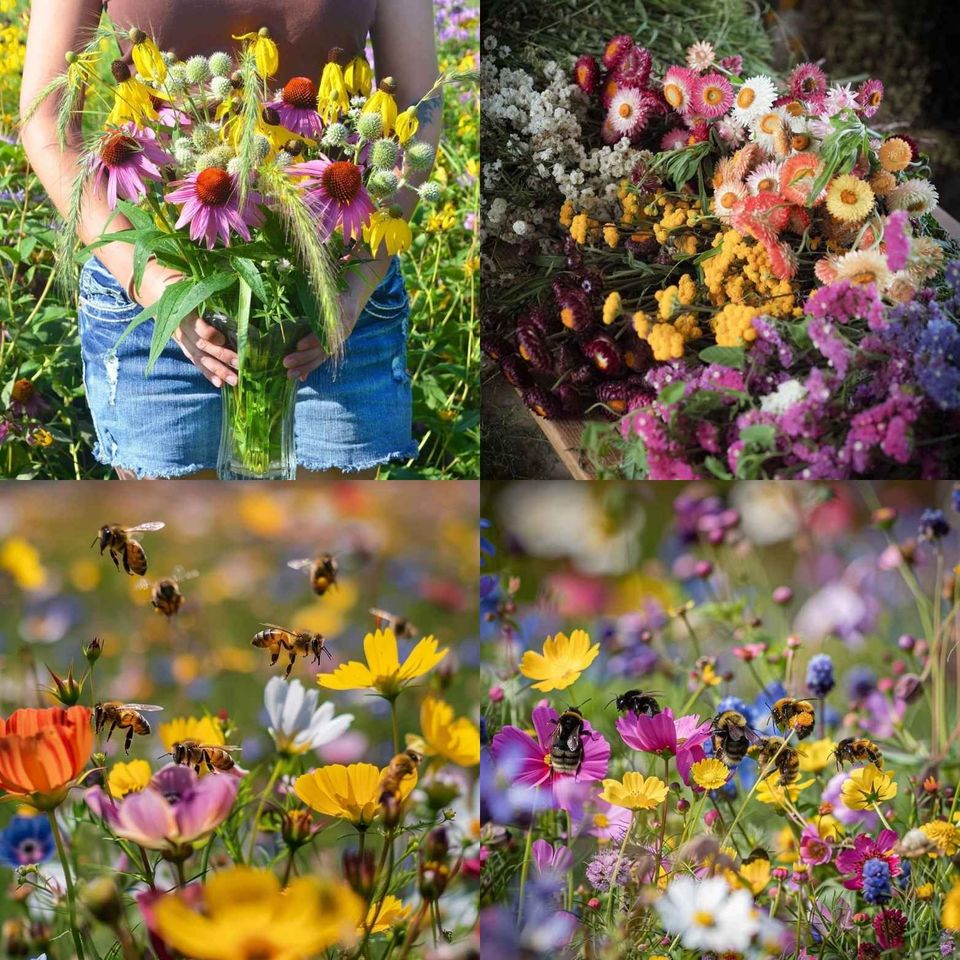 🌸 All-Season Mixed Perennial Flowers Seeds – 90+ Varieties, Bloom All Year!
