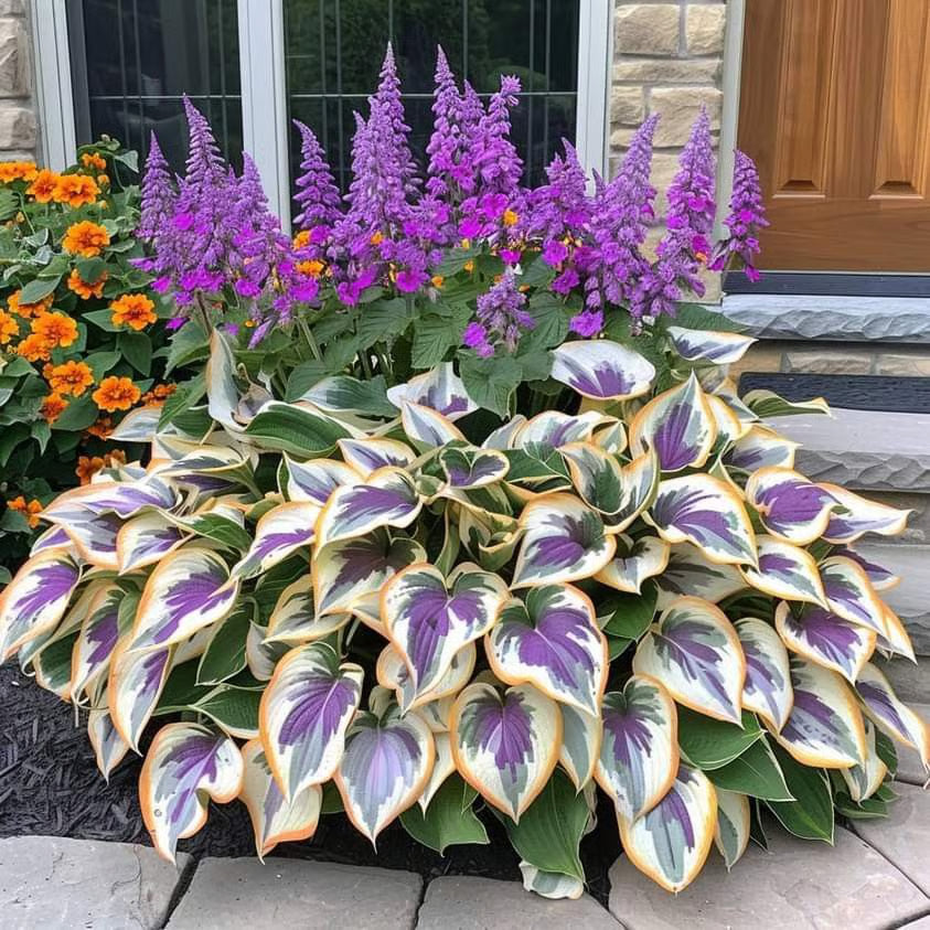 Nothing Grows in Shade? Watch This… 🌿 Turn Dead Corners Into a Lush Garden Paradise