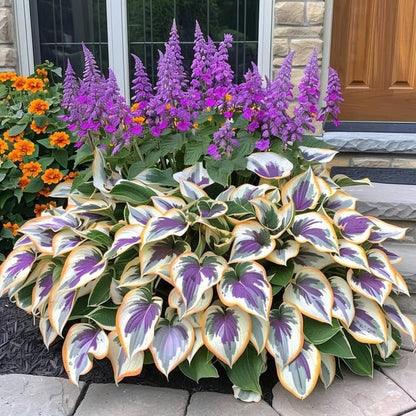 Nothing Grows in Shade? Watch This… 🌿 Turn Dead Corners Into a Lush Garden Paradise