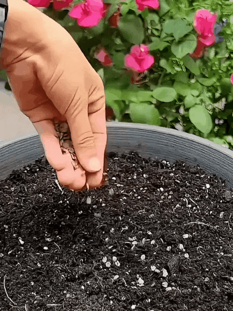 🌸 Grow a Garden That Gets Better Every Year