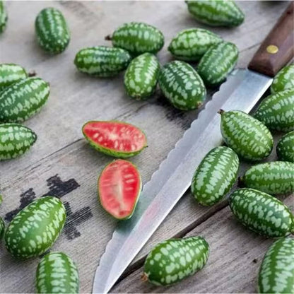 🍉🍉Super MINI! - Thumb Watermelon