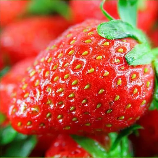 All-Year-Round Creamy Strawberry Seeds🍓