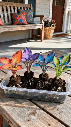 Nothing Grows in Shade? Watch This… 🌿 Turn Dead Corners Into a Lush Garden Paradise