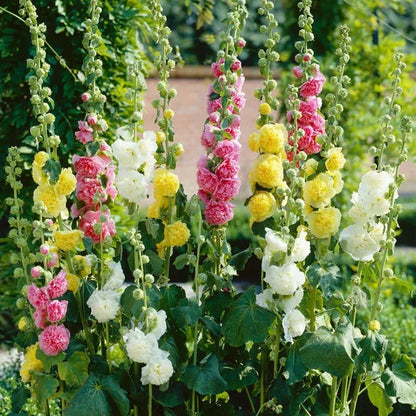 🌸 Grow a Garden That Gets Better Every Year