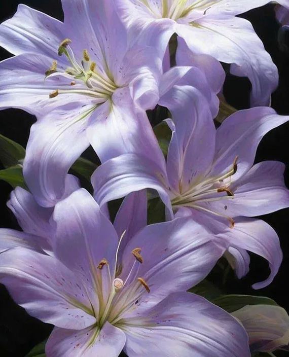 🔥 Easy care 🎁 Pink lily bulbs