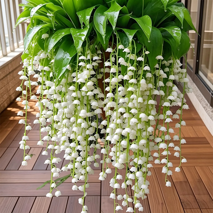 🌿 Hanging Lily of the Valley🌸 Elegance That Lasts Year After Year