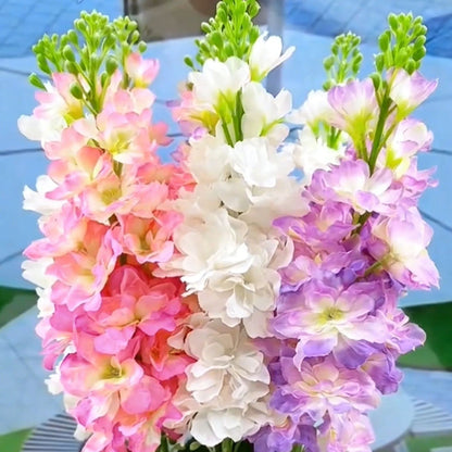 💖 Double Fragrant Tuberose 🌸🌙 A Garden Favorite for Romantic Evenings