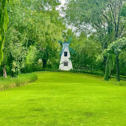 🌱 2026 New Formula Grass Seed 🎄Stay Green in Every Season