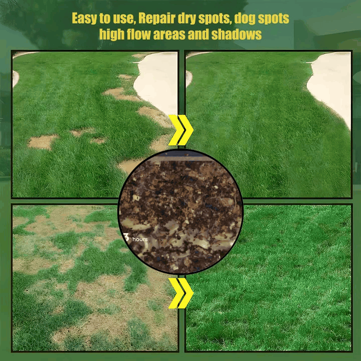 🌱 2026 New Formula Grass Seed 🎄Stay Green in Every Season