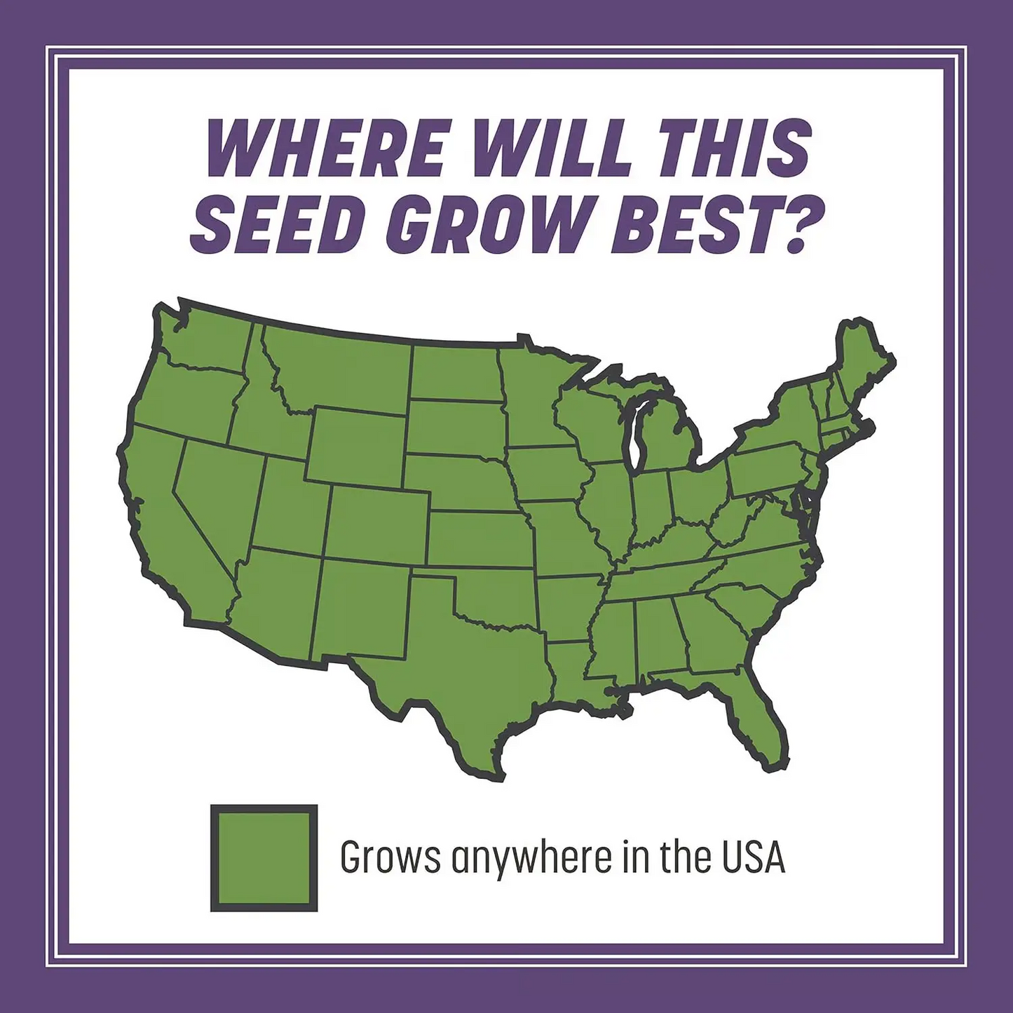 🌱 2026 New Formula Grass Seed 🎄Stay Green in Every Season