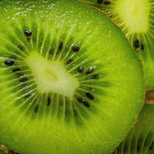 🥝 Grow Your Own Kiwi Fruit at Home