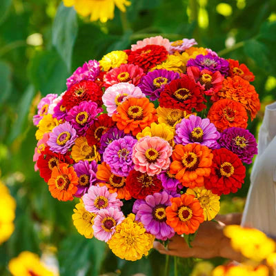 👉 Grow Gorgeous, Eye-Catching Flowers at Home — No Experience or Green Thumb Needed 🌱