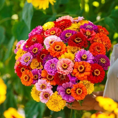 👉 Grow Gorgeous, Eye-Catching Flowers at Home — No Experience or Green Thumb Needed 🌱