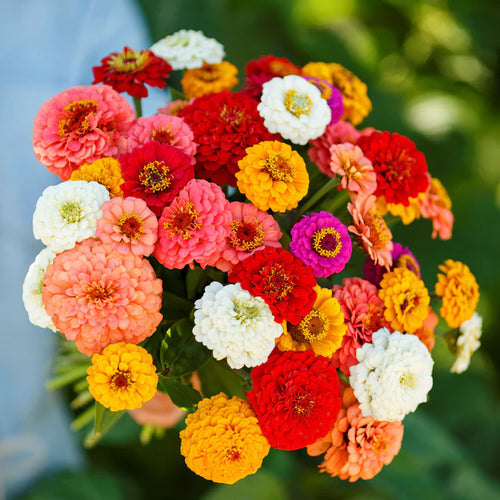 👉 Grow Gorgeous, Eye-Catching Flowers at Home — No Experience or Green Thumb Needed 🌱